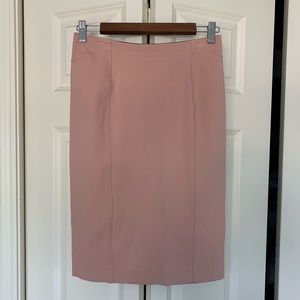 Pencil Skirt NWOT